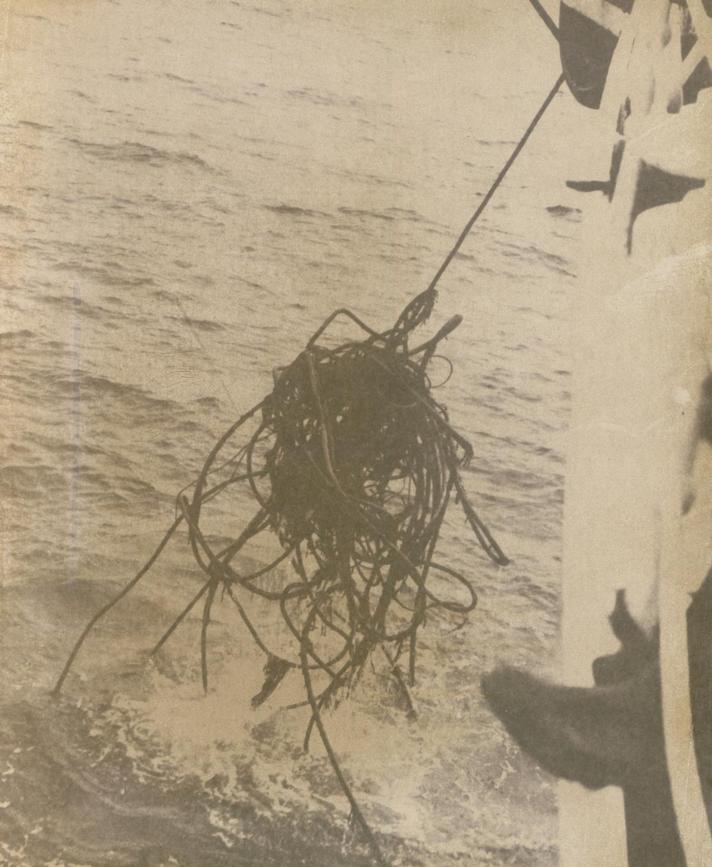 1958 - Image of Cable Damage Recovered to Cable Ship - 